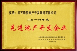 先進(jìn)房地產(chǎn)開發(fā)企業(yè).jpg